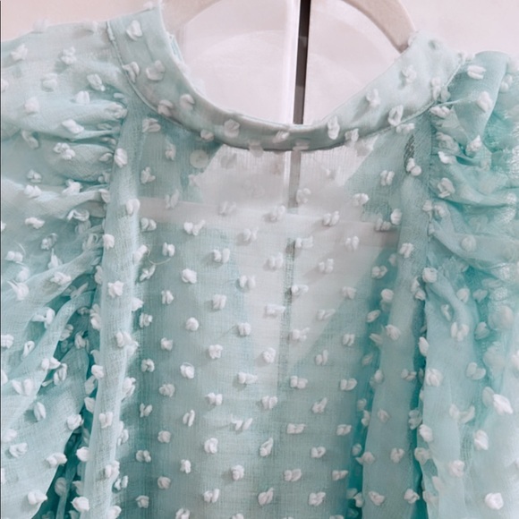 Zara sheer top - Picture 1 of 5